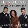 Amor, Amor (feat. Pablo Herrera) - Single