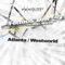 Westworld (Alan Morris Remix) - Ferrin & Low lyrics
