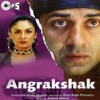 Angrakshak (Original Motion Picture Soundtrack)