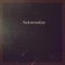 Concerto Sax - The Ambient Society lyrics