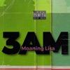 Moaning Lisa - Single