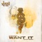 Want It (Spor Remix) artwork