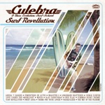 Culebra & Thee Evolution Surf School - Longboard Shattered