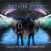 Elevated Minds