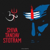 Shiva Tandav Stotram artwork