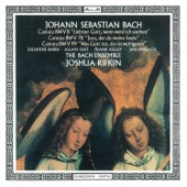 Cantata, BWV 78 "Jesu, der du meine Seele": V. Recitative. Die Wunden, Nägel, Kron und Grab artwork