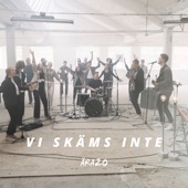 Vi skäms inte artwork