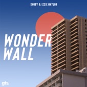 Wonderwall (feat. Izzie Naylor) artwork