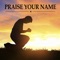 Praise Your Name artwork