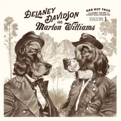 Sad But True by Delaney Davidson & Marlon Williams album reviews, ratings, credits