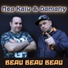 Beau Beau Beau (feat. Damany) - Single