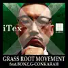 Grass Root Movement (feat. Bonz & G-Conkarah) song lyrics