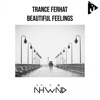 Beautiful Feelings - Single