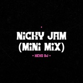 Nicky Jam (Mini Mix) artwork