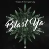 Blast Ya (feat. Barrington Levy) song lyrics