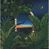 Night Flight artwork