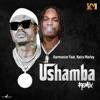 Ushamba (feat. Naira Marley) [Remix] - Single