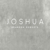 Joshua artwork