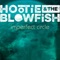 Wildfire Love (feat. Lucie Silvas) - Hootie & The Blowfish lyrics
