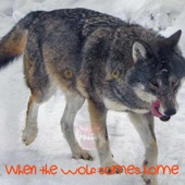 Ziggzagg Jonz - When the wolf comes home