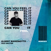 Can You Feel It (The Remixes) [feat. Baxter] artwork