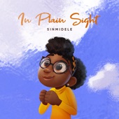 In Plain Sight artwork