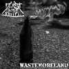 Wastemoreland - Single
