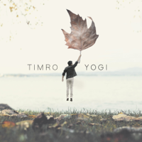 Yogi - Timro artwork