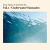 Vol. 1 - Underwater Fantasies - Single, 2020