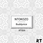 Ntokozo (Redemial Mix) artwork