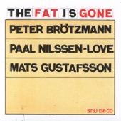 Peter Brötzmann & Paal Nilssen-Love & Mats Gustafsson - Bullets Through Rain