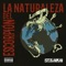 Niño (feat. Zares Charly Sheeno) - Stebanman lyrics