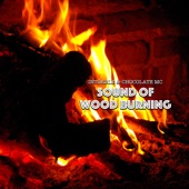 Sound of Burning Wood & Piano, Pt. 5 artwork