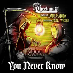 You Never Know - Single by Checkmait album reviews, ratings, credits