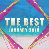 The Best Ibiza Party January 2019 artwork
