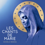 Notre Dame des éclaireurs (Ô Vierge de lumière) artwork