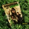 Dubrumors Rmx (feat. Alborosie) - Boom Boom Vibration & P. Renna, A. D'Ascola lyrics