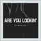 Are You Lookin' - RIBELLU lyrics