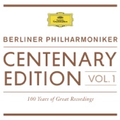 Centenary Edition 1913-2013 Berliner Philharmoniker artwork