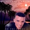 Já Foi Valeu - Single