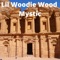 Mystic (feat. Derek) - Lil Woodie Wood lyrics