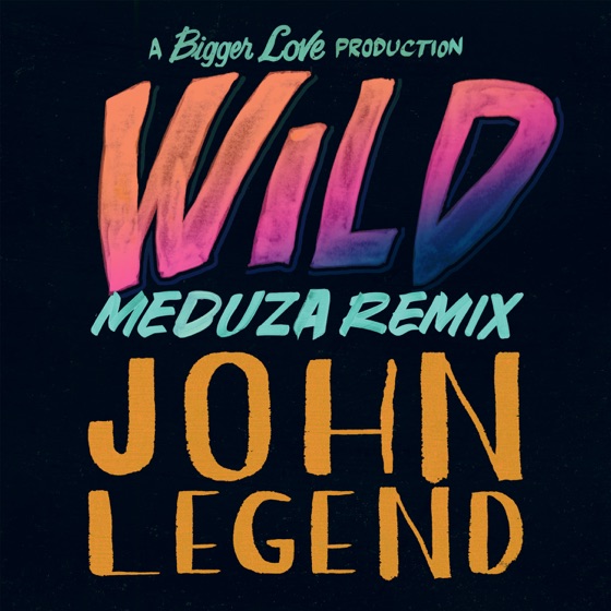 Cover artwork for Wild