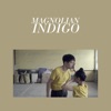 Indigo - Single