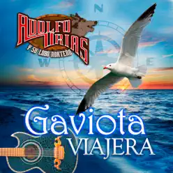 Gaviota Viajera - Adolfo Urias