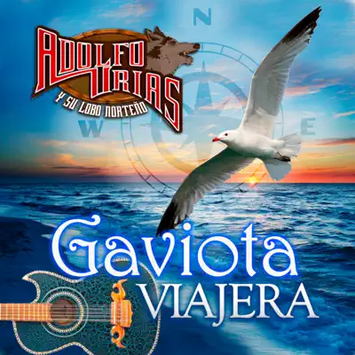 Gaviota Viajera - Adolfo Urias