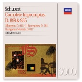 4 Impromptus, Op. 142, D.935: No. 1 in F Minor: Allegro Moderato artwork
