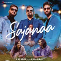 Pro Bros & Raghu Dixit - Sajanaa - Single artwork