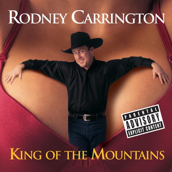 Cover artwork for TV Show