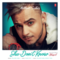 Millind Gaba & Music Mg - She Don't Know (From 