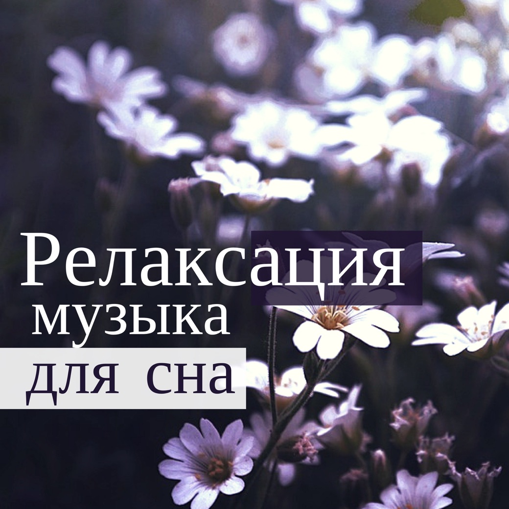 МУЗЫКА РЕЛАКС КОЛЛЕКЦИЯ Lyrics, Playlists & Videos Shazam